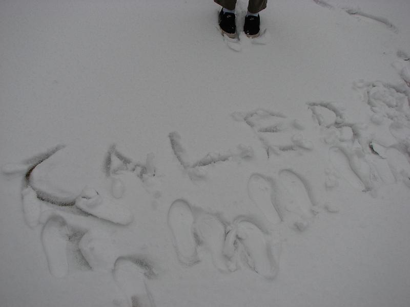 2008-12-07_First_Snow 030.jpg